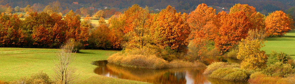 Autumnal_panorama